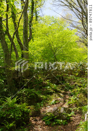 三瓶山　室の内池から子三瓶までの景色：右回り（2022年5月） 89747811