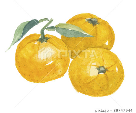 ジャバラ 邪払 黄色 ジャバラ 邪払 黄色 89747944