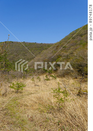 三瓶山　子三瓶～風越～鳥地獄～室のうち展望台までの景色（2022年5月） 89748178