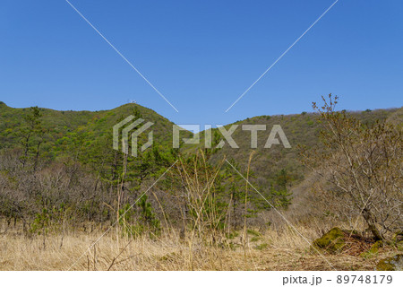 三瓶山　子三瓶～風越～鳥地獄～室のうち展望台までの景色（2022年5月） 89748179