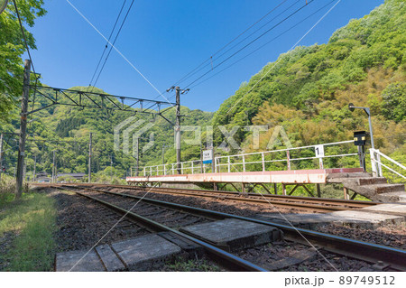 新緑の布原駅 89749512
