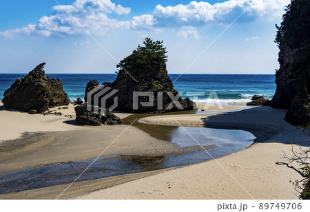 白い砂浜に白い鳥 89749706