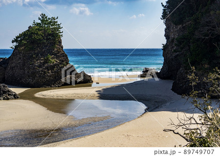 白い砂浜に白い鳥 89749707