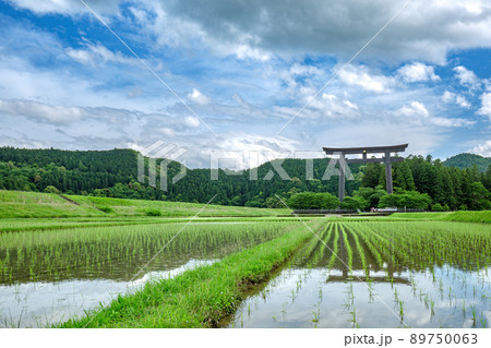 大斎原周辺の風景 89750063