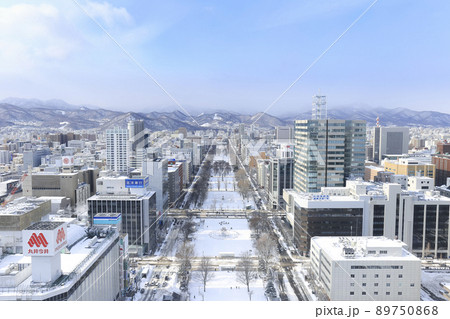 北海道・札幌　大通公園と札幌の街並み（テレビ塔からの眺め） 89750868