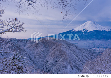 （山梨県）日本の冬景色・降雪後の御坂路から望む富士山 89755335