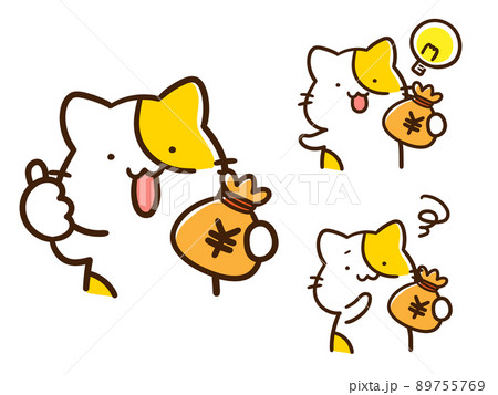 お金を持ってポーズをとるかわいいねこの手書き風イラストセット 89755769