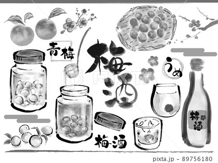 梅酒に関連する手描き和風イラストセット　モノクロ 89756180