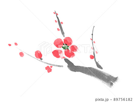 梅の花の手描き和風イラストのイラスト素材 7561