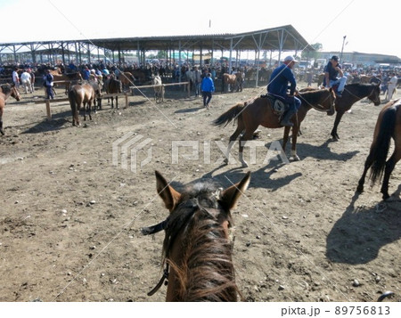 馬上から撮った家畜市場の写真 馬上から撮った家畜市場の写真 89756813