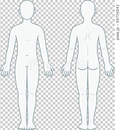 unisex human body outline front and back