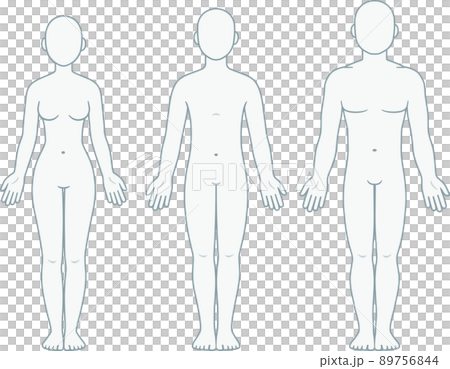 Male, female and unisex body chart 89756844