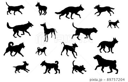 Group of dogs various breed. Black dog silhouette. Group of dogs various breed. Black dog silhouette. 89757204