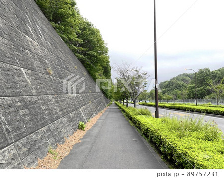 東京郊外の道。多摩エリアの風景。電柱のない道。 東京郊外の道。多摩エリアの風景。電柱のない道。 89757231