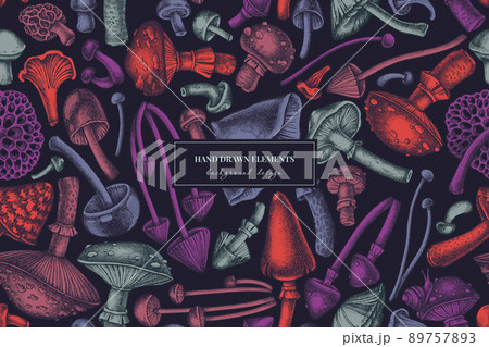 Forest mushrooms seamless pattern background design. Engraved style. Hand drawn mushrooms, fly 89757893