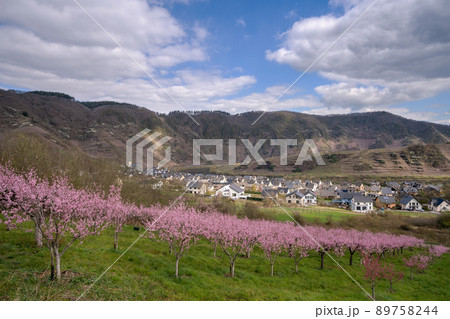 Springtime in Moselle region, Germany 89758244