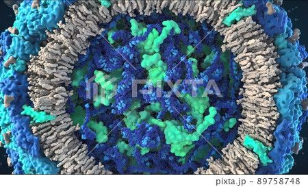 3D illustration of cell and internal structure on black background 89758748
