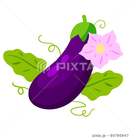 Eggplant. Pink flowers and stem 89760647
