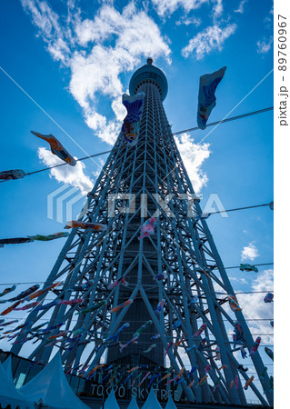 東京スカイツリーと鯉のぼり<2022年5月> 東京スカイツリーと鯉のぼり<2022年5月> 89760967