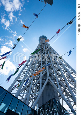 東京スカイツリーと鯉のぼり＜2022年5月＞ 89761164