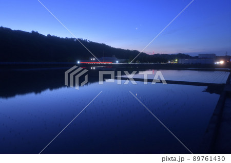 北杜市武川町、水田に映る夜明けの空に並んだ金星・木星 89761430