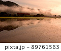 越美北線　朝霧の朝 89761563