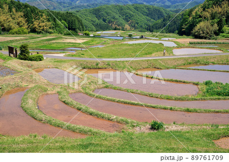 〈島根県〉山王寺の棚田 〈島根県〉山王寺の棚田 89761709