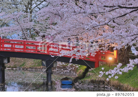 ライトアップされた桜と橋(弘前公園) ライトアップされた桜と橋(弘前公園) 89762055