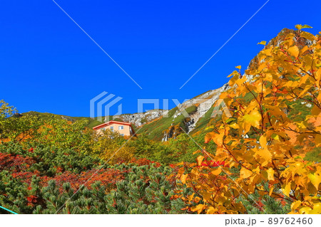【長野県】紅葉最盛期の駒ヶ岳千畳敷カール（木曽駒ヶ岳） 89762460