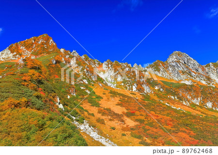 長野県 紅葉最盛期の駒ヶ岳千畳敷カール 木曽駒ヶ岳 の写真素材