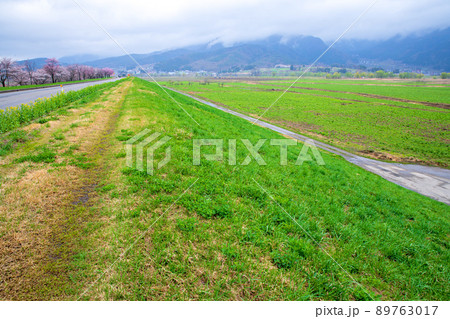 千曲川河川敷　道の駅　花の駅千曲川付近の眺め　早春の風景　 89763017