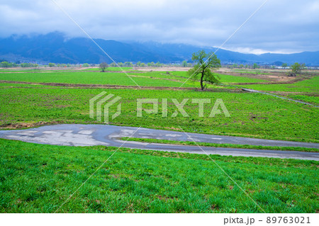 千曲川河川敷 道の駅 花の駅千曲川付近の眺め 早春の風景 千曲川河川敷 道の駅 花の駅千曲川付近の眺め 早春の風景 89763021