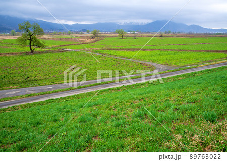 千曲川河川敷 道の駅 花の駅千曲川付近の眺め 早春の風景 千曲川河川敷 道の駅 花の駅千曲川付近の眺め 早春の風景 89763022