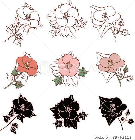 芙蓉（ふよう）のイラスト素材 [89763113] - PIXTA