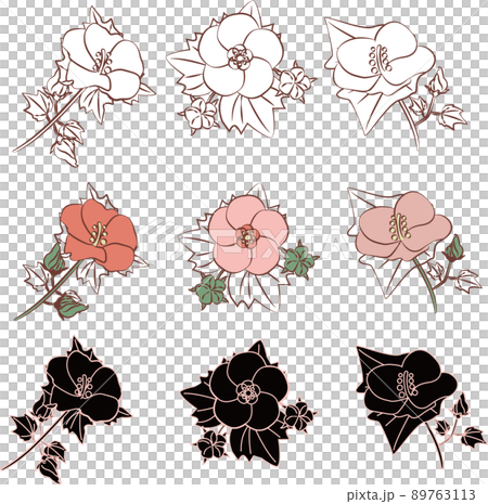 芙蓉（ふよう）のイラスト素材 [89763113] - PIXTA