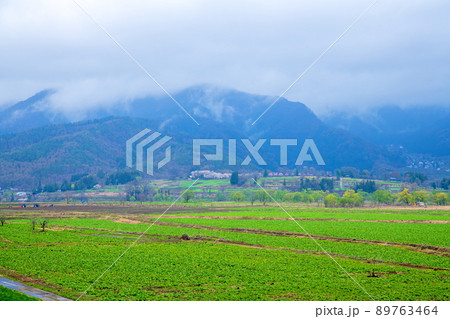 千曲川河川敷　道の駅　花の駅千曲川付近の眺め　早春の風景　 89763464