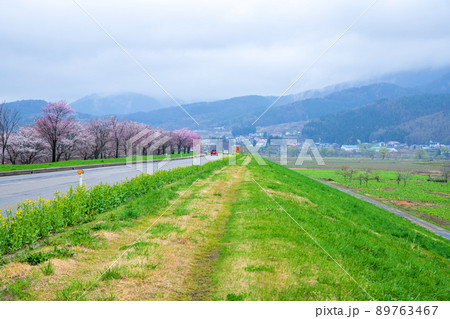 千曲川河川敷　道の駅　花の駅千曲川付近の眺め　早春の風景　 89763467