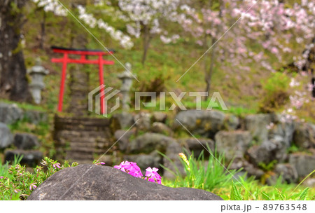 長野県 白馬村の春 長野県 白馬村の春 89763548