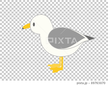 シンプルで可愛いカモメのイラスト シンプルで可愛いカモメのイラスト 89763870