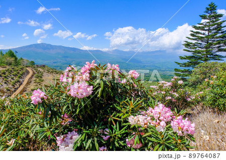 石楠花園からの展望 89764087
