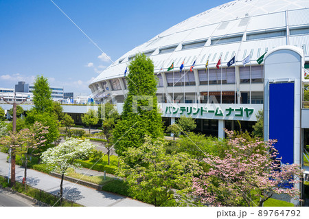 バンテリンドームナゴヤ  ナゴヤドームとハナミズキ 89764792