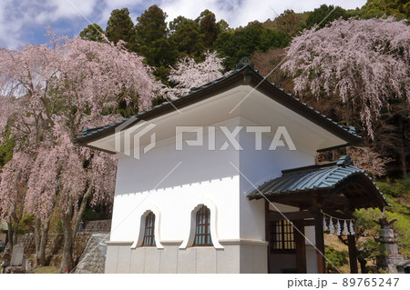 山梨県南巨摩郡身延町　日蓮宗総本山身延山久遠寺　宿坊麓坊のしだれ桜とお堂 89765247