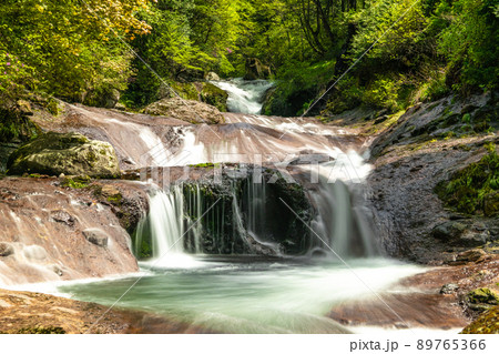新緑のおしどり隠しの滝 89765366