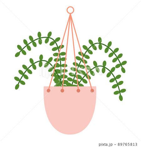 Nephrolepis with four leaf in hanging ceramic pot 89765813