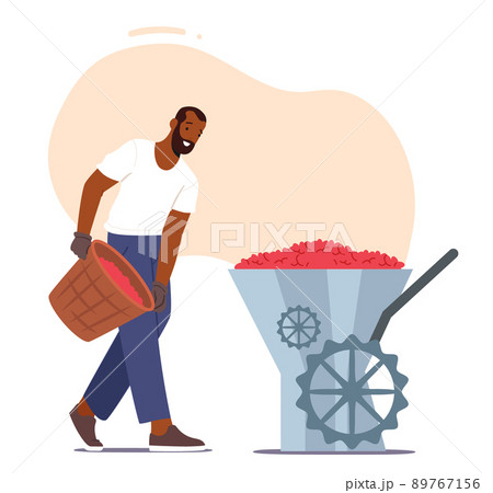 Farmer Put Coffee Beans in Grinding Machine Working on Plantation or Factory Isolated on White Background 89767156