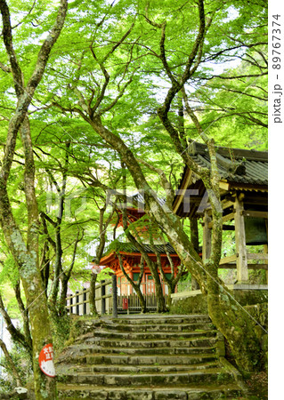 牛滝山大威徳寺(多宝塔) 【大阪府岸和田市】 牛滝山大威徳寺(多宝塔) 【大阪府岸和田市】 89767374