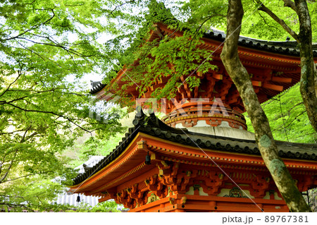 牛滝山大威徳寺(多宝塔)　　【大阪府岸和田市】 89767381