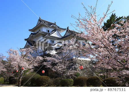 伊賀上野城　満開の桜 89767531