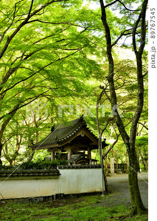 牛滝山大威徳寺(山門) 【大阪府岸和田市】 牛滝山大威徳寺(山門) 【大阪府岸和田市】 89767545