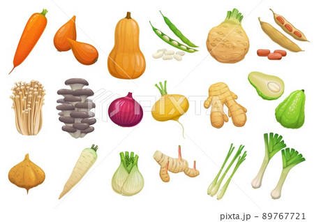 Cartoon vegetables, beans and mushrooms. Vector carrot, butternut pumpkin, shallots and celery tuber. Broad beans, enoki and oyster mushrooms, onion, ginger root and chayote or jicama with parsnips 89767721